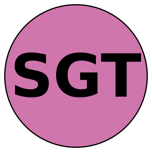 Savvy Gurus Travel